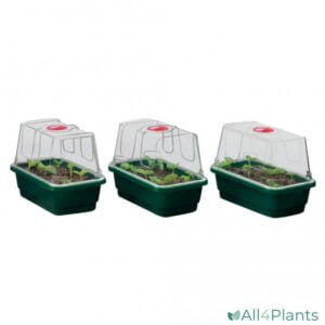 Garland High Dome Mini Sera 3 Parça Set