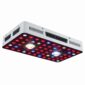 Phlizon L2 COB Led 245 w Bitki Yetiştirme Lambası