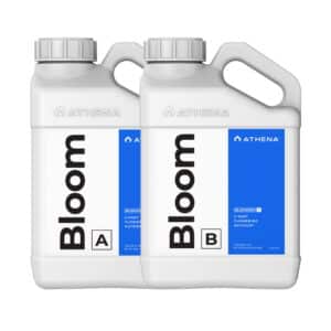 Athena Bloom A+B 0.94 Litre