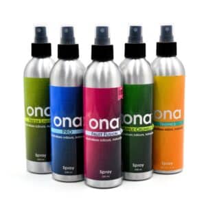 Ona Spray Apple Crumble 250 Ml