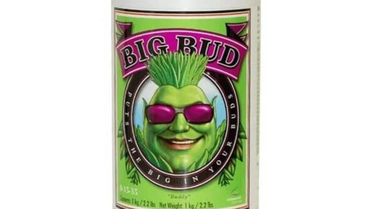 Advanced Nutrients Big Bud Powder 1 kg — ProBitki