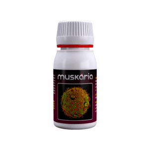 Agrobacterias Muskaria 60 ml