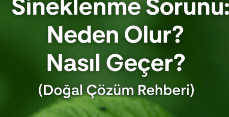 Bitki yaprağı üzerindeki sineklerle birlikte, “Bitkilerde Sineklenme Sorunu: Neden Olur? Nasıl Geçer?” başlıklı bilgilendirici blog görseli.