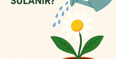 Saksıdaki papatya çiçeğine sulama kabıyla su dökülüyor - Çiçek Nasıl Sulanır başlıklı blog yazısı için öne çıkarılan görsel