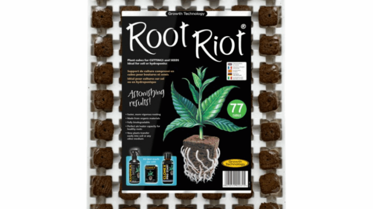Root Riot Köklendirme Küpleri Viyöl 77 göz — ProBitki