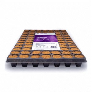 Plagron Nextgen Grow Plug 84 Göz Viyöl