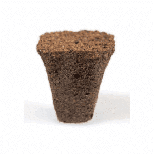 Köklendirme Hormonu Nedir? Nasıl Kullanılır?