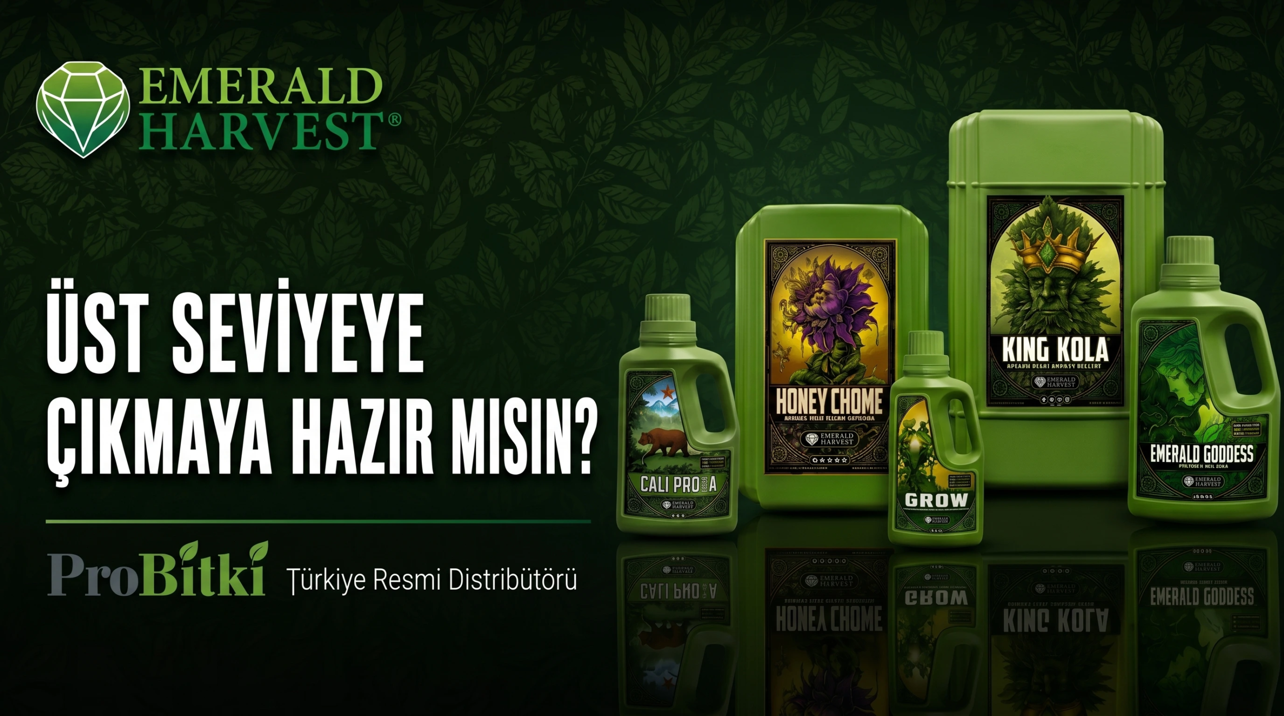 Emerald-Harvest-Probitki-20.06-Slider Emerald-Harvest-Probitki-20.06-Slider
