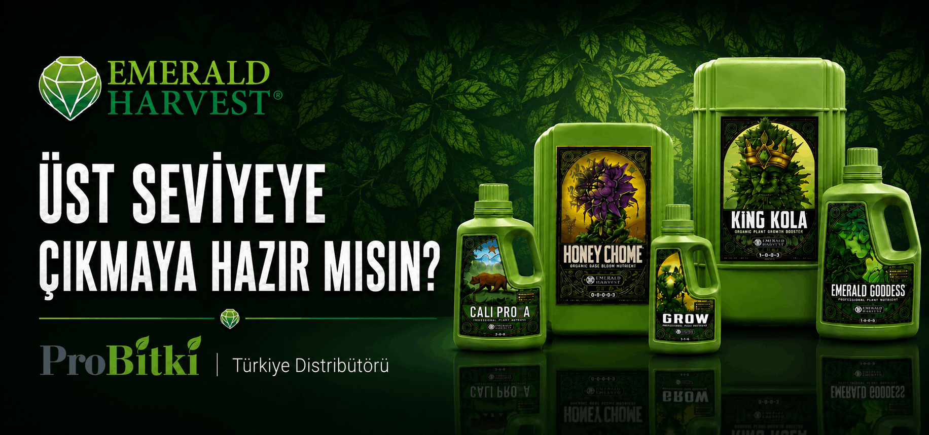 Probitki Banner 2